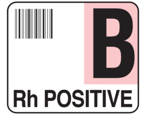 White 1-1/2" x 1-3/4" Bar Coded Group Type Blood Identification Labels - Codabar  - With Imprint: B / Rh POSITIVE