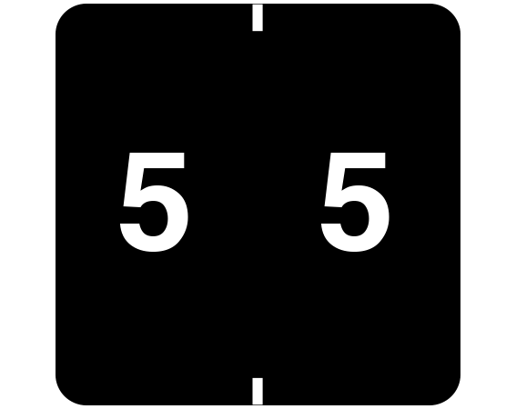 FXN-305 Color Coded Numeric Folder Labels for Ames Filing