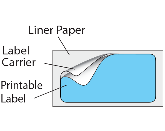 TTHERM-PB548R-6 Blue 1 " x 2" Thermal Printer Labels for Patient Charge Systems - Piggyback