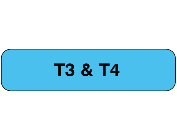 UPCR-1215 Blue 5/16" x 1-1/4" Chemistry Communication Labels for the Laboratory - With Imprint: T3 & T4