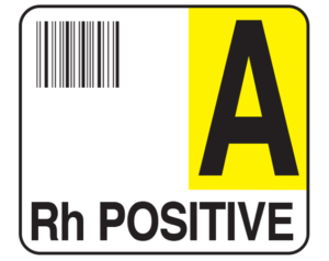 White 1-1/2" x 1-3/4" Bar Coded Group Type Blood Identification Labels - Codabar  - With Imprint: A / Rh POSITIVE