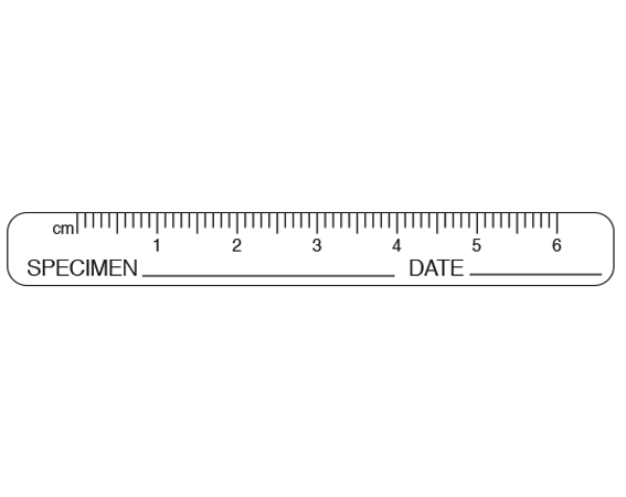 SMS-3 White 3/8" x 3" Metric Measure Labels for Medical Photography - With Imprint: cm 1 2 3 4 5 6 / SPECIMEN _____ DATE _____